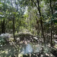 مغازه مناسب تعمیرگاه و مشاغل مربوطه