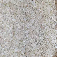 فروش برنج چمپا