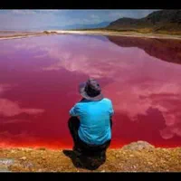نمک صنعتی دریاچه مهارلو|عمده‌فروشی|شیراز, وزیرآباد|دیوار