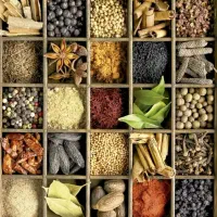 خانم جهت بسته بندی ادویه جات