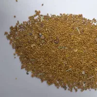 بذر یونجه محلی