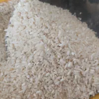 برنج سرلاشه طارم هاشمی