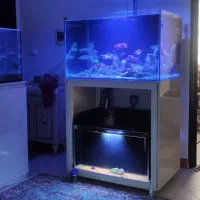 آکواریوم ابشور پلنت