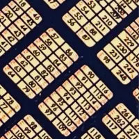 فروش انواع زمین گلبرگ ها شهرک ولیعصر