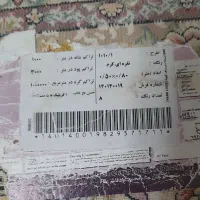 پادری۵۰ در۸۰|پادری|تهران, آهنگ|دیوار