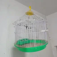 قفس سهره قدیمی|لوازم جانبی حیوانات|پاکدشت, پاکدشت (مامازند)|دیوار