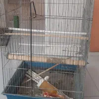 لوازم حیوانات پرنده