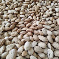 خرید وفروش انواع بادام ومغز بادام درختی صادراتی و.