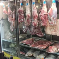 یخچال قصابی 2متری|فروشگاه و مغازه|مشهد, توس (بلوار توس)|دیوار