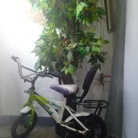 دوچرخه ۱۲سالم