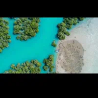 گشت جزیره قشم با راننده بومی|تور و چارتر|قشم, |دیوار