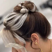 میکاپ و شنیون و رنگ و لایت