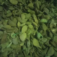 کاه وپوست بادام