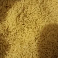 برنج چمپاسرقعله|خوردنی و آشامیدنی|منج, |دیوار