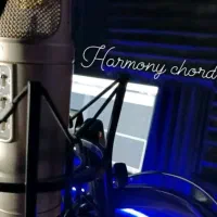 خوانندگی نوازندگی آهنگ سازی(مبتدی تا حرفه ای)