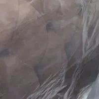 تخت و تشک سه تیکه خوشخواب نو|تخت و سرویس خواب|تهران, ازگل|دیوار