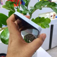 گوشی سامسونگ Galaxy A15|موبایل|شیروان (خراسان), |دیوار