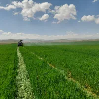 کارگرآبگیر