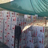 تولیدذغال حبه ای فشرده کربن صددرصدطبیعی فحم لتصدیر