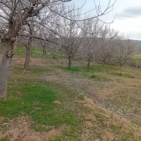 فروش باغ گردو
