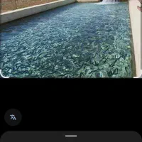 اجاره ۳ هکتار|اجارهٔ دفتر صنعتی، کشاورزی، تجاری|کمیجان, |دیوار