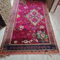 درحدنو ونو|سفره، حوله، دستمال آشپزخانه|شیراز, شهرک فرزانگان|دیوار