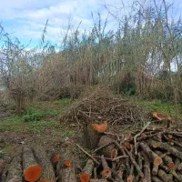 زمین مسکونی و باغ ویو شالیزار/روستایی/محدوده خمام