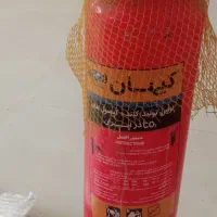 فروش فوری کپسول اطفا حریق  CO2