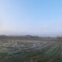 فروش-زمین-داخل-طرح-هادی-بهترین-موقعیت-مکانی-راد