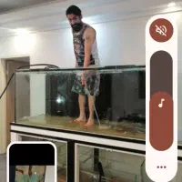 سرویس آکواریم|ماهی|تهران, استقلال|دیوار