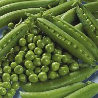 خدمات خانه آشپزخانه