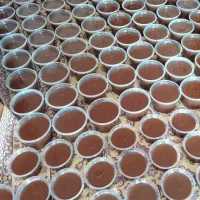 سمنو تازه ارسال رایگان