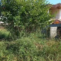 زمین مسکونی ۲۹۰ مترجواز شش دانگ هچیرود