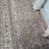 فرش های۷۰۰شانه|فرش|رشت, شهرک صبا|دیوار