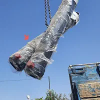 جک انتنی هیدروماس|قطعات یدکی و لوازم جانبی|رباطکریم, رباطکریم|دیوار