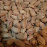 خشک دامغان|خوردنی و آشامیدنی|تهران, بهداشت|دیوار