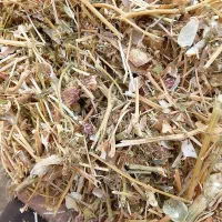 فروش کاه لوبیا چیتی