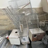 تعدادی قفس و لانه