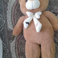 خرس قهوه ای بزرگ و تمیز