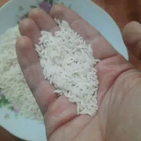 برنج هاشمی ممتاز و معطر
