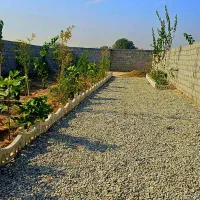 202متری-سند-دار