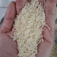 برنج هاشمی معطر درجه یک|خوردنی و آشامیدنی|تهران, کامرانیه|دیوار