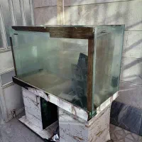 آکواریوم|ماهی|اندیشه, اندیشه فاز ۳|دیوار