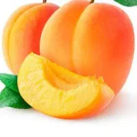 خریدار زردآلو هستم