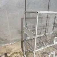قفس پرنده|لوازم جانبی حیوانات|بوشهر, |دیوار