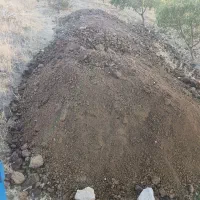 کود حیوانی