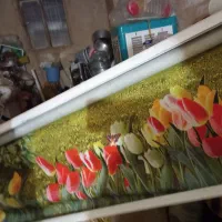 لوستر و پرده