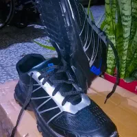 کتونی اسپرت سایز ۴۱ همراه یا جعبه|کیف، کفش، کمربند|رشت, آب و برق|دیوار