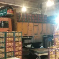 فروشی|خودرو سنگین|پاسارگاد, |دیوار