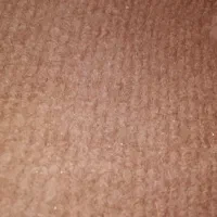 موکت